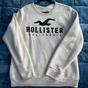 Hollister Crewneck
